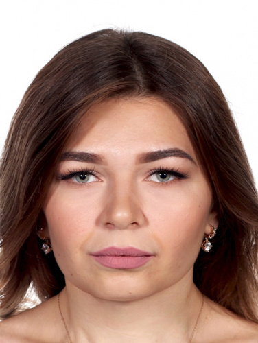 ��������� Steingot ������������� 200x100x60 �� ������ ������  �������